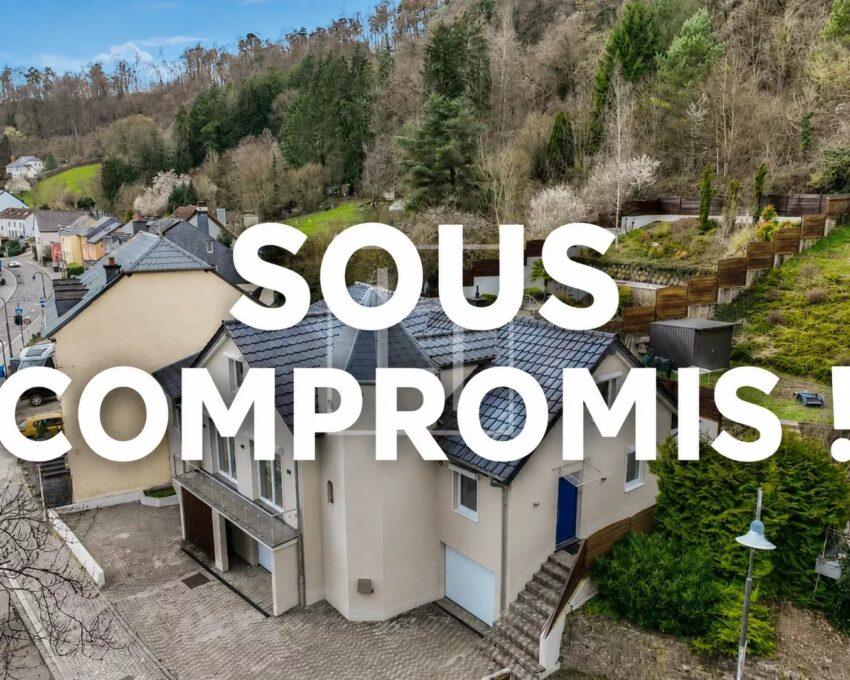 House with 5 bedrooms with a breathtaking view of Schoenfels Castle!